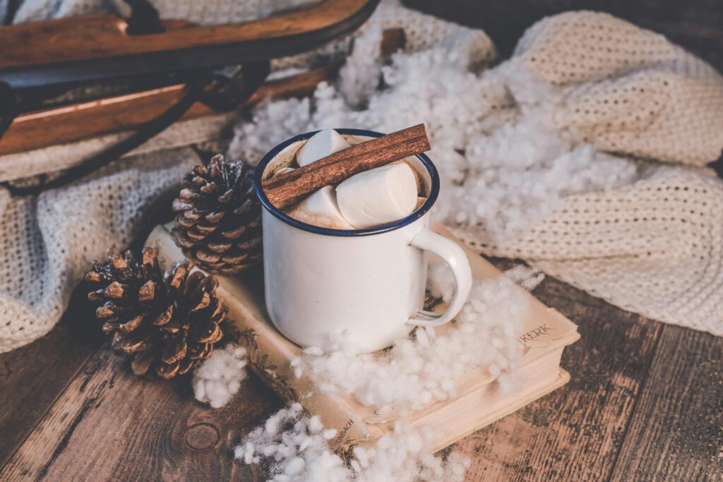 Bookish Christmas gifts