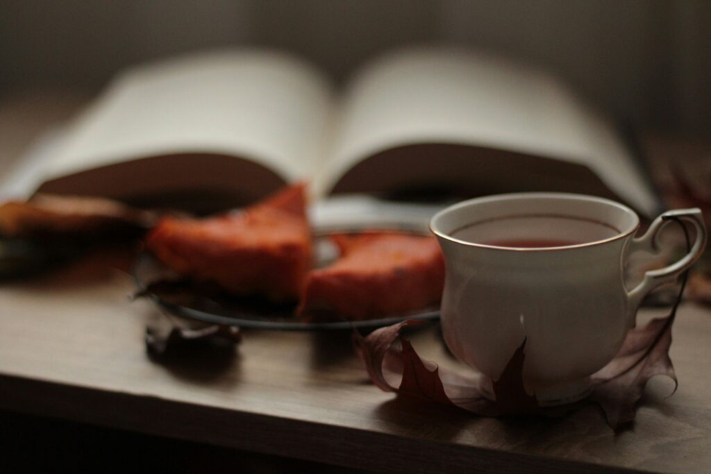 November 2024 reading wrap-up