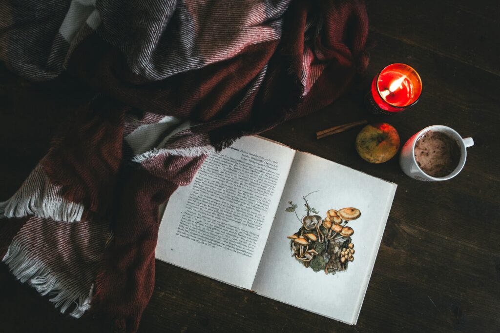 Cozy Bookstagram props 